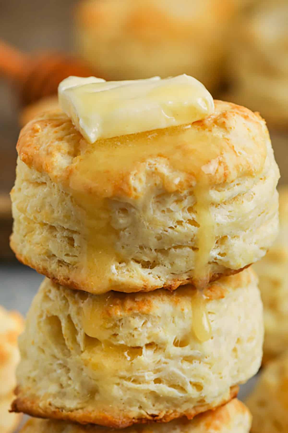 https://www.spendwithpennies.com/wp-content/uploads/2023/10/cropped-Buttermilk-Biscuits-2-SpendWithPennies.jpg