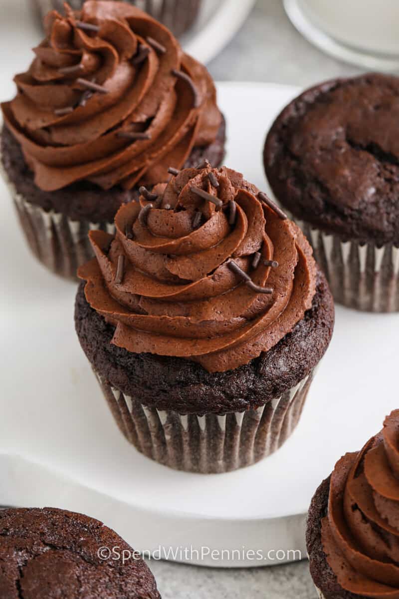 Made-From-Scratch Chocolate Cupcakes 
