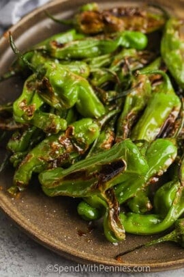 close up of easy Hot Honey Blistered Shishito Peppers on a plate