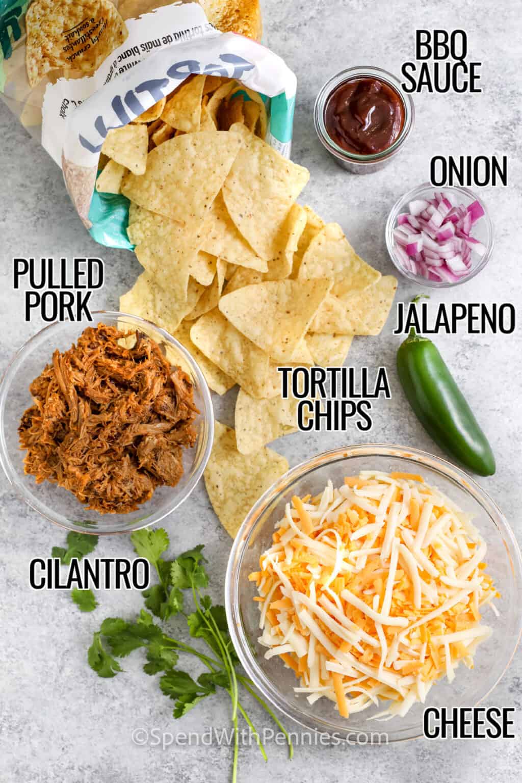 Pulled Pork Nachos