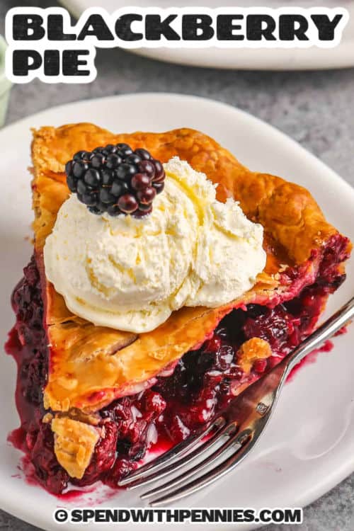 slice of Blackberry Pie with a title