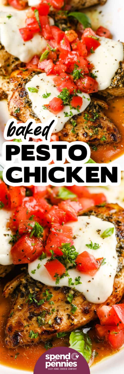 Pesto Chicken - 14