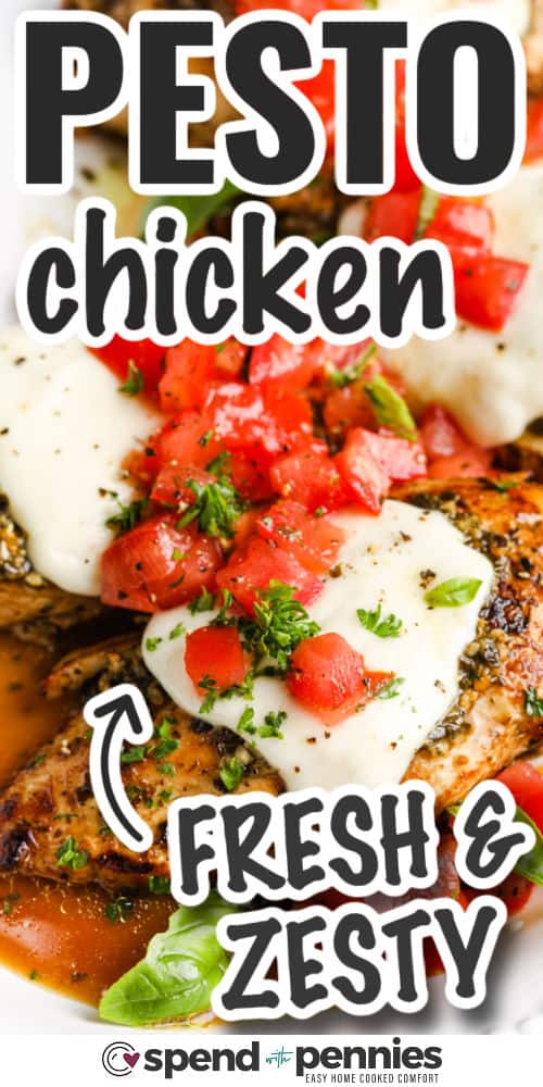 Pesto Chicken - 61
