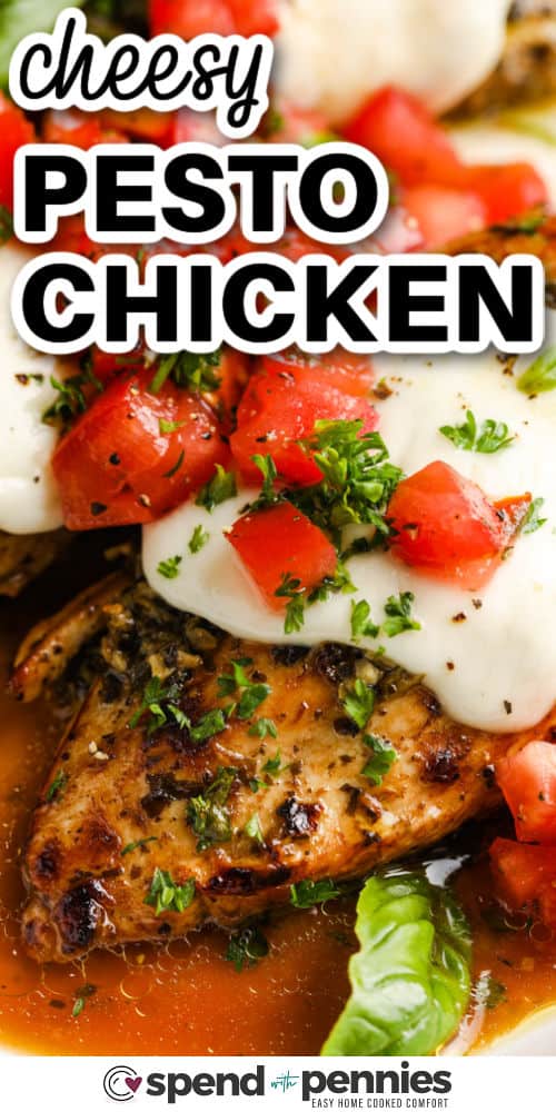 Pesto Chicken - 47