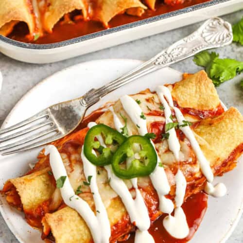 plated Chicken Enchilada Recipe