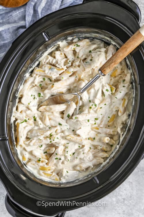 Crock Pot Chicken Alfredo