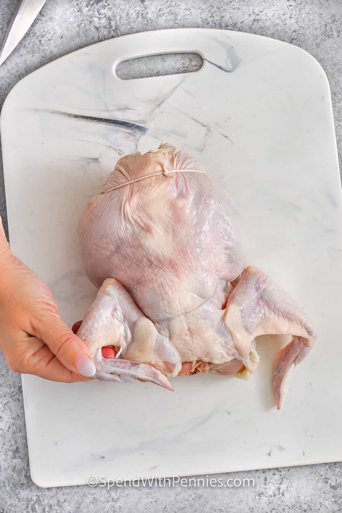 Roasting a whole chicken is such an easy way to make a delicious, home-cooked meal that everyone will love. With just a little seasoning and some oil, you’ll get that crispy skin on the outside and juicy, tender meat inside. Adding an onion in the cavity gives it a subtle depth of flavor, and trussing the legs ensures even cooking. Letting the chicken rest before carving is key to keeping it moist. It’s a simple recipe that delivers big on taste, perfect for a cozy family dinner! #spendwithpennies tucking in chicken wings to show How to Prepare a Whole Chicken
