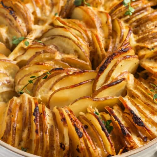 closeup of baked potatoes au gratin