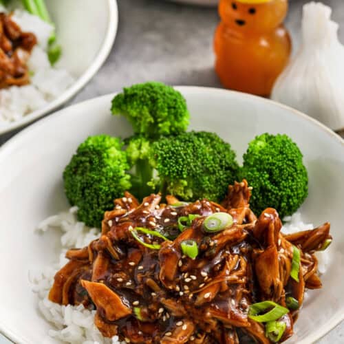 Slow Cooker Honey Garlic Chicken on rice
