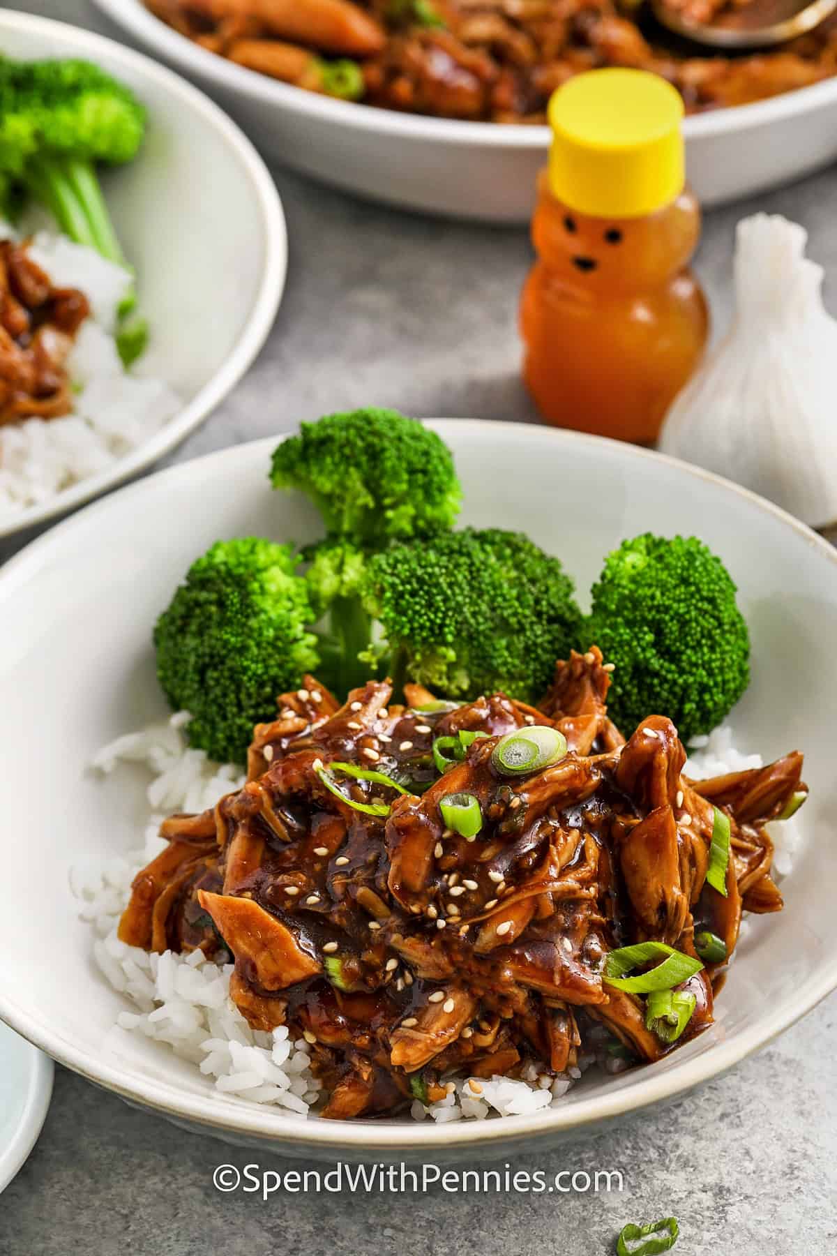 Slow Cooker Honey Garlic Chicken