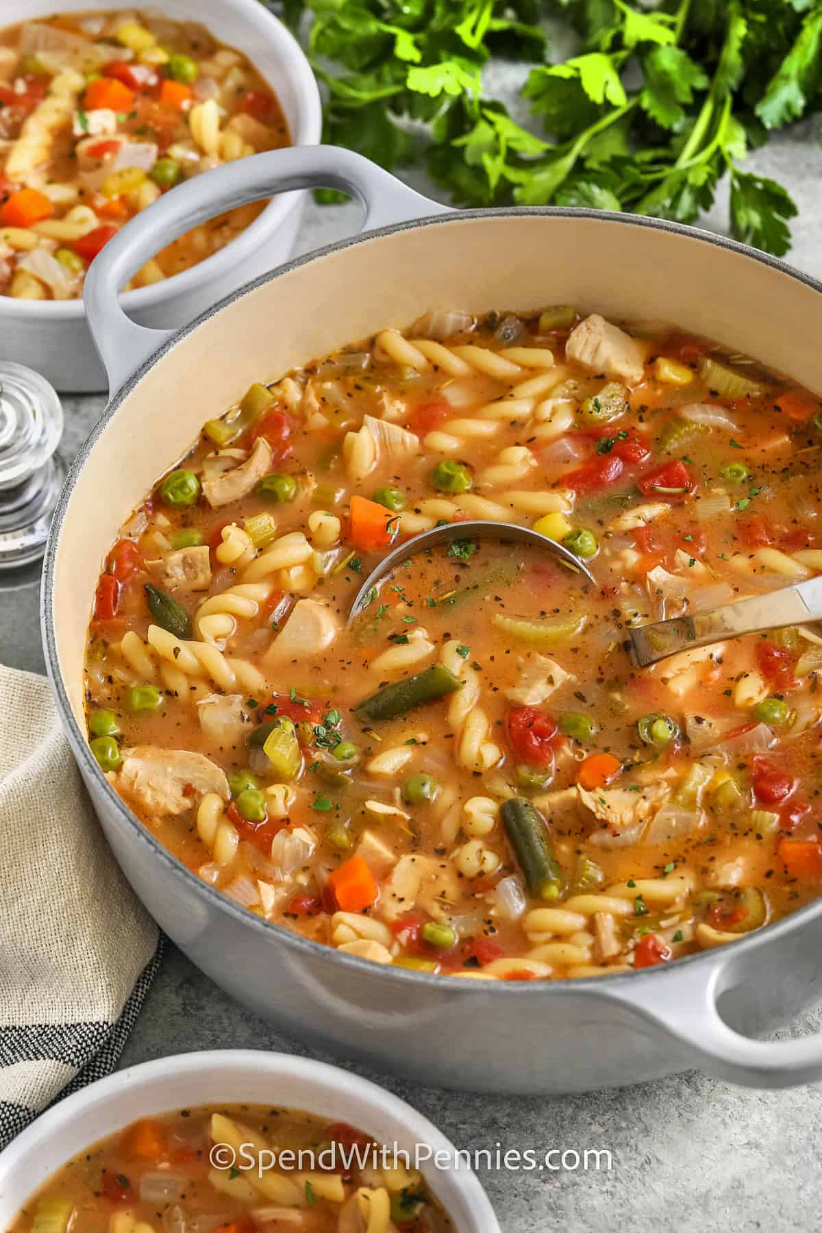 Turkey Vegetable Soup