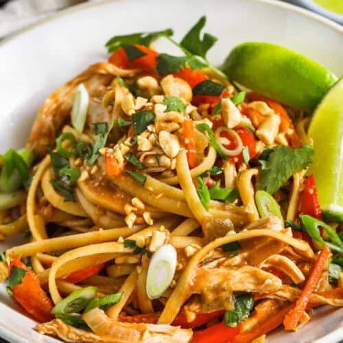 A bowl of slow cooker chicken peanut noodles