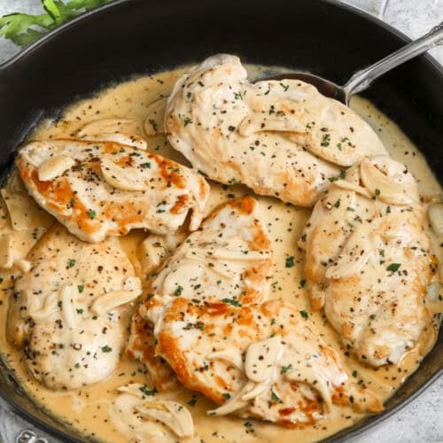 easy creamy Garlic Chicken in a pan