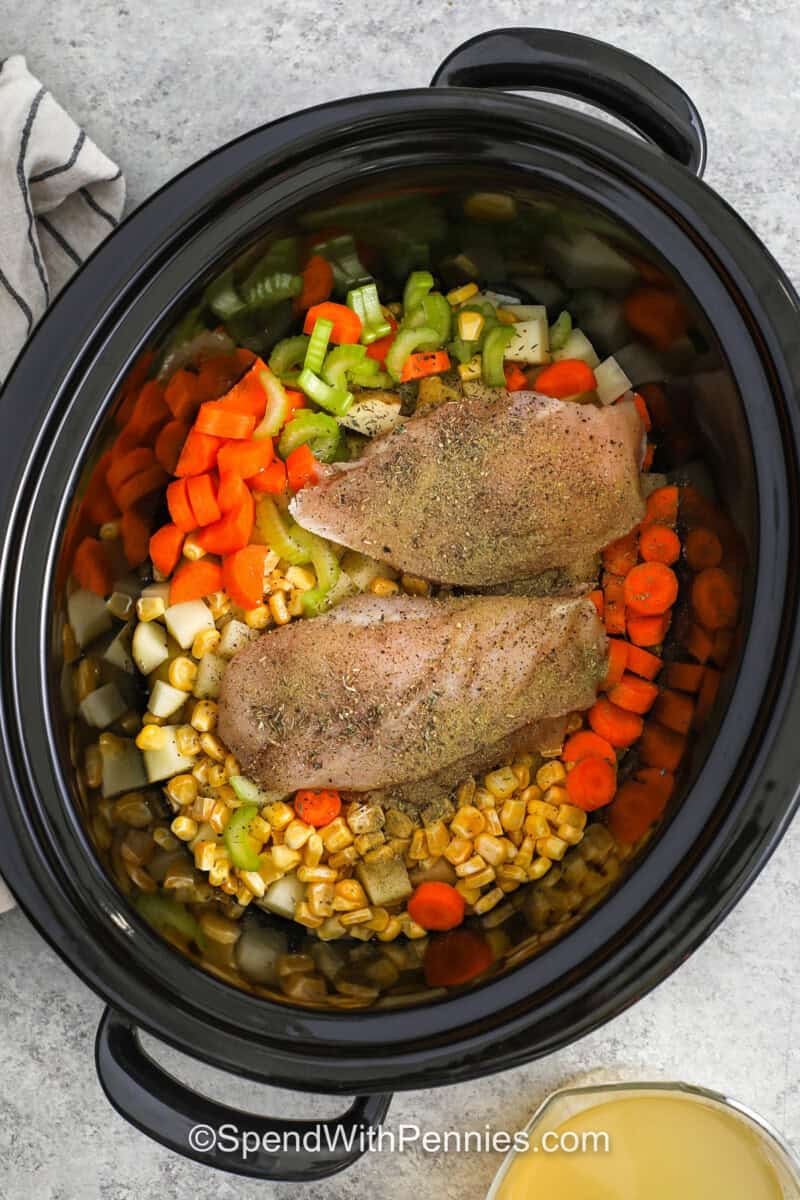 adding seasoning to chicken and vegetable in the pot to make Slow Cooker Chicken Stew