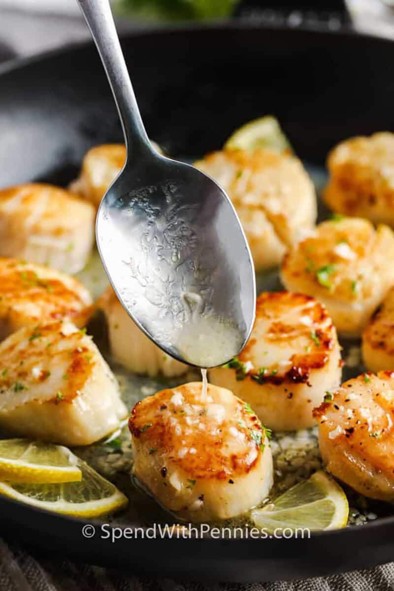 Pan Seared Scallops