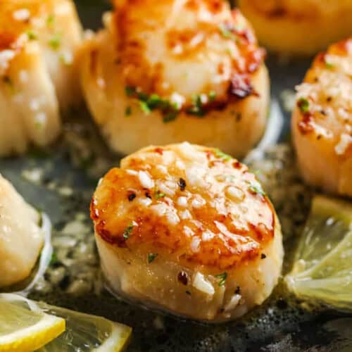plated Pan Seared Scallops with lemon
