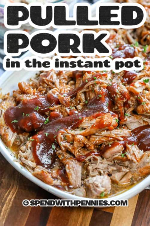 Instant Pot Pulled Pork with sauce on a plate