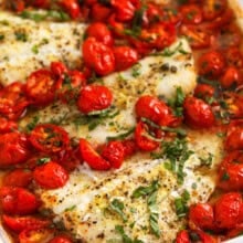Roasted cod with tomatoes close up
