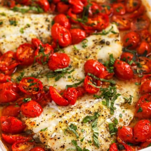 close up of Baked Cod with Tomatoes