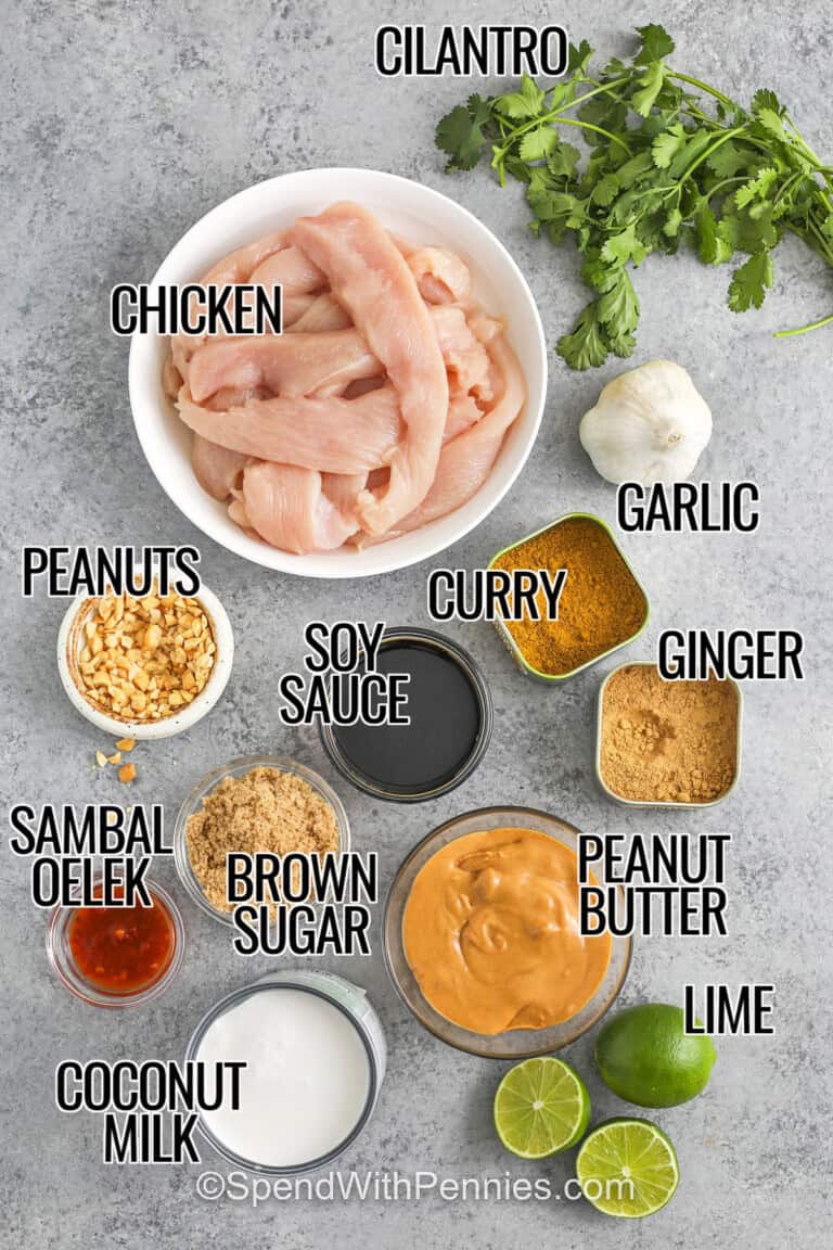 Chicken Satay