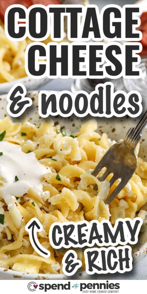 Cottage cheese and noodles make the coziest comfort food that’s simple and so satisfying. This easy recipe combines soft egg noodles with buttery onion, creamy cottage cheese, and a little seasoning for the perfect balance. It’s warm, filling, and ready to pair with any protein. Add a dollop of sour cream or pop it in the oven with breadcrumbs for a golden topping. Leftovers reheat like a dream. #spendwithpennies creamy and rich Cottage Cheese and Noodles