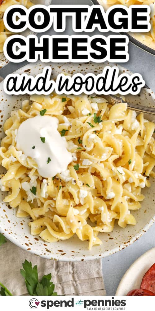 Cottage cheese and noodles are a simple dish that feels like home. This recipe blends boiled egg noodles with golden onion, rich butter, and creamy cottage cheese for a classic combo that’s big on comfort. Want to take it up a notch? Add a sprinkle of Parmesan and broil it in the oven. Don’t forget the sour cream on top for a cool, tangy finish. #spendwithpennies bowl of Cottage Cheese and Noodles with writing
