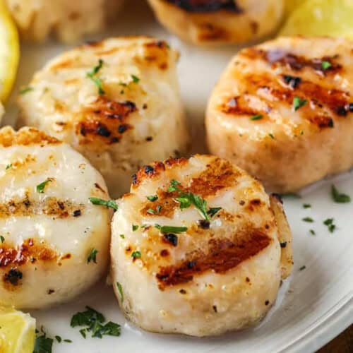 Quick and Easy Grilled Scallops on a plate
