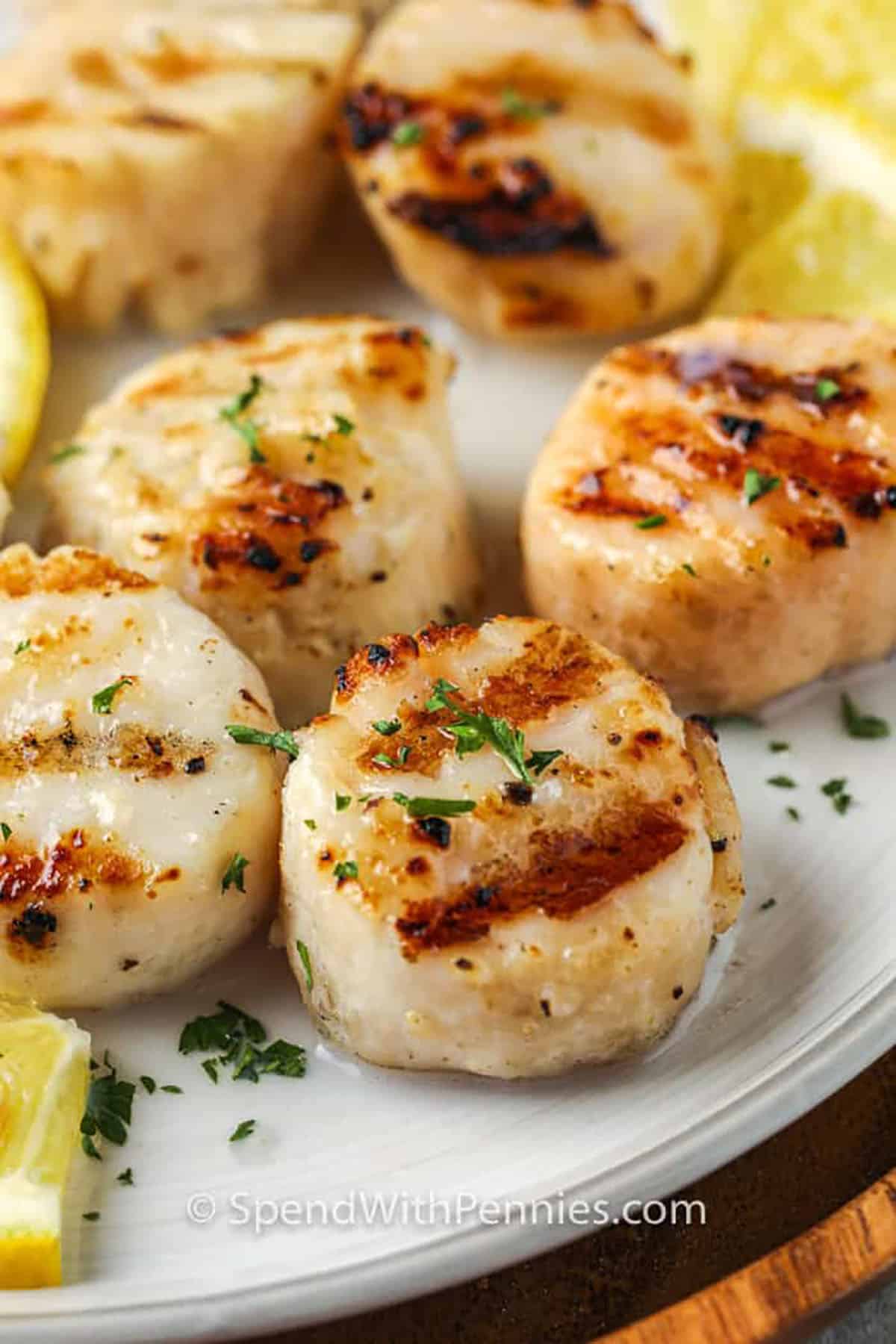 Quick and easy grilled scallops are a fast and flavorful way to enjoy seafood at home. Tossed in olive oil, lemon juice, and garlic, the scallops are marinated briefly before hitting the grill. Just a few minutes per side is all it takes to achieve a golden sear and tender bite. Serve with fresh lemon wedges and a sprinkle of parsley for a light and elegant dinner. #spendwithpennies Quick and Easy Grilled Scallops on a plate