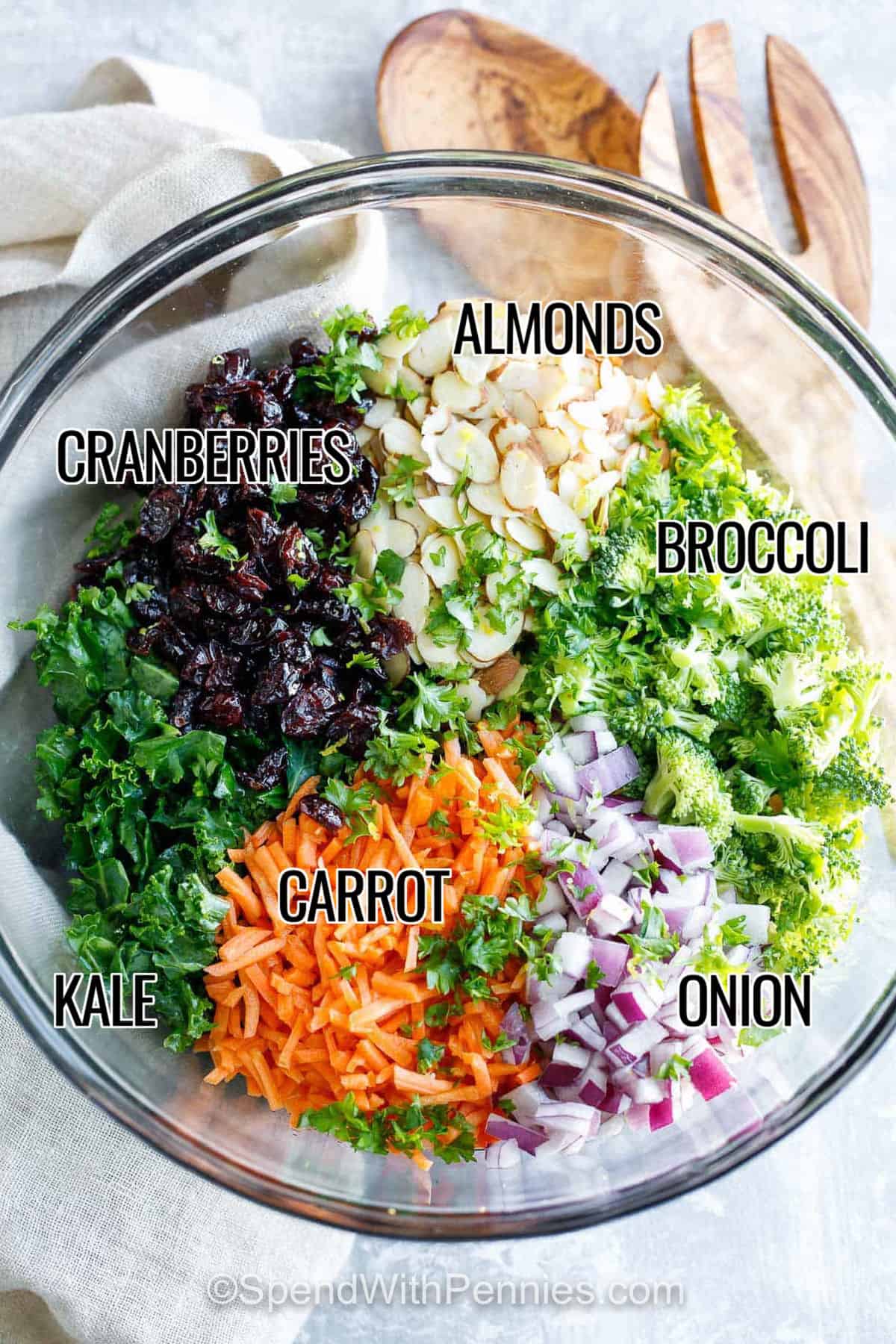 almonds , cranberries , broccoli , carrot , kale , onion with labels to make Easy Kale Salad with Fresh Lemon Dressing