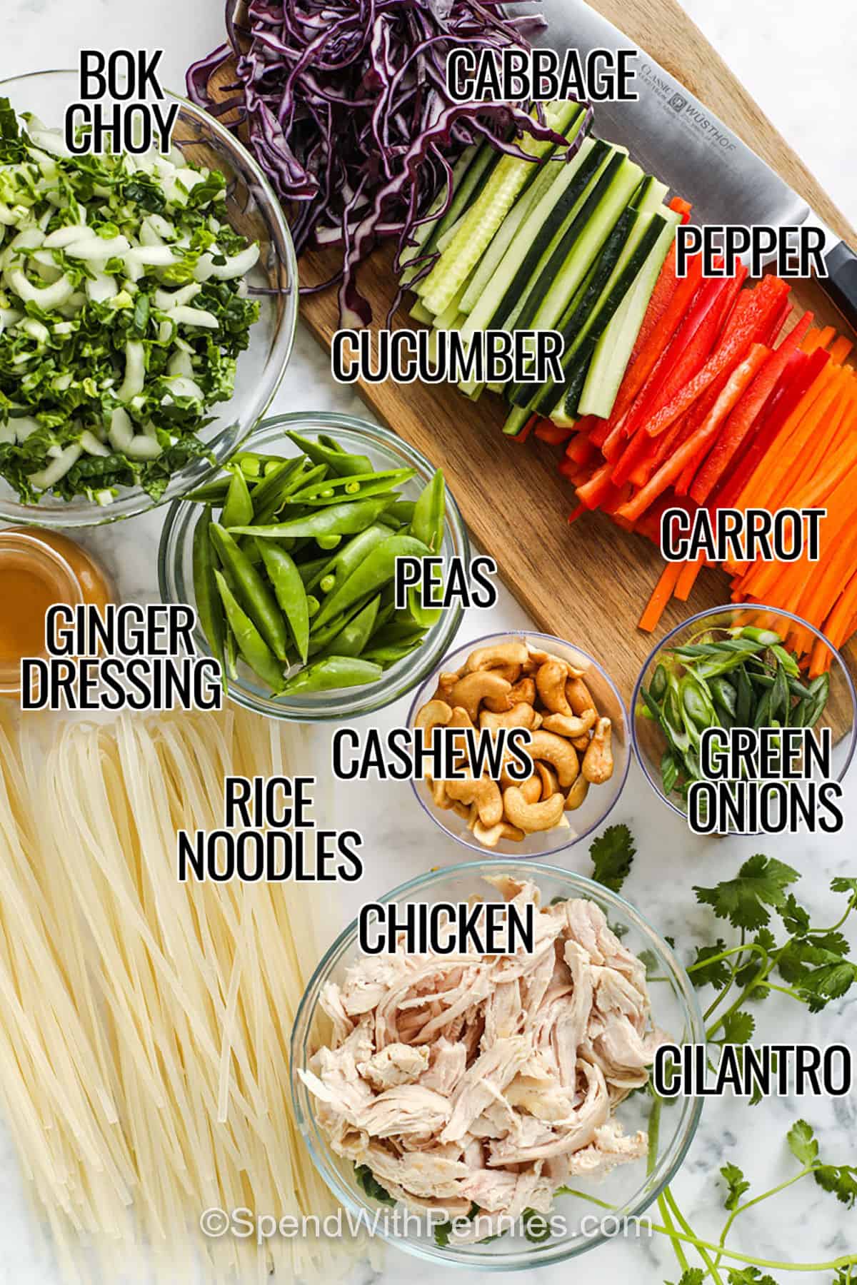 bok choy , ginger dressing , rice noodles , chicken , cilantro , cashews , green onions , carrot , pepper , cucumber , cabbage with labels to make Sesame Ginger Chicken Noodle