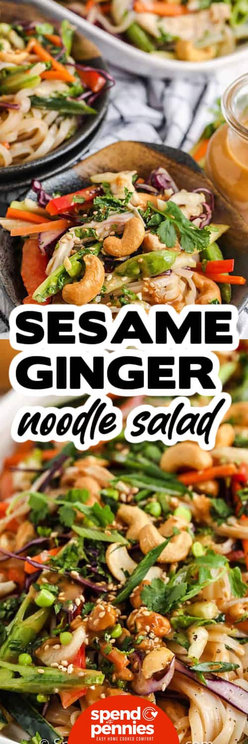 Sesame Ginger Chicken Noodle in bowls and close up photo with a title