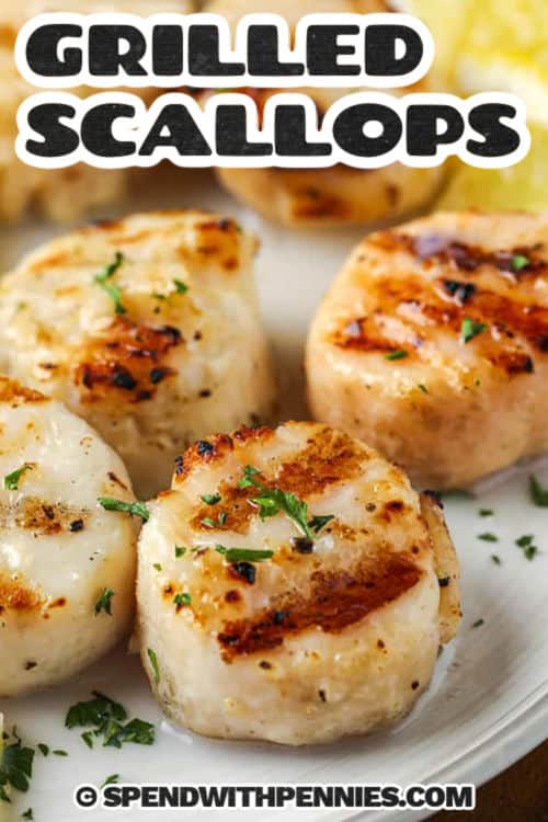 Quick and easy grilled scallops are juicy, tender, and full of fresh lemon-garlic flavor. This recipe uses just a few simple ingredients like olive oil, garlic, and citrus juice for a bright and zesty marinade. Grilled in just minutes, these scallops come out perfectly golden on the outside and tender on the inside. Garnish with parsley and lemon wedges for a restaurant-style finish. #spendwithpennies plated Quick and Easy Grilled Scallops with lemon slices and a title