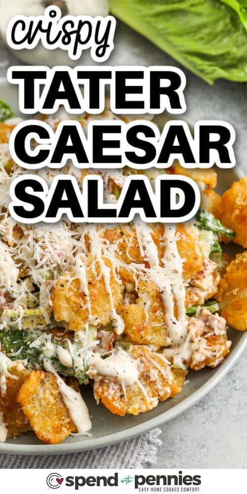 close up of Crispy Tater Caesar Salad in a bowl with writing
