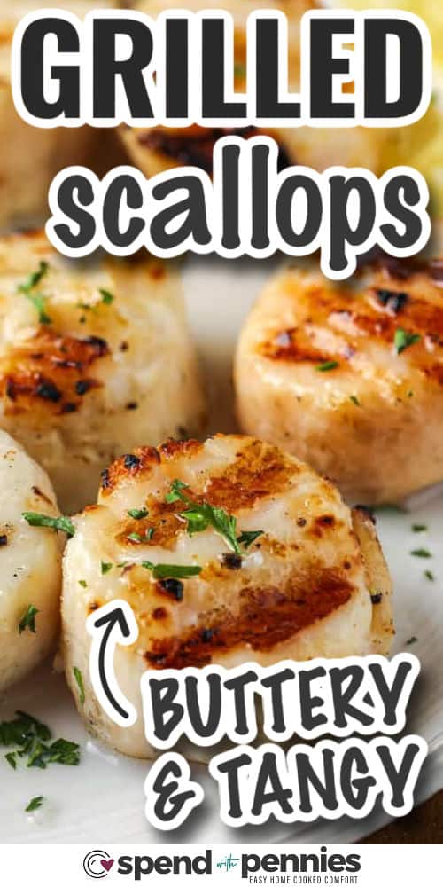 Quick and easy grilled scallops make a simple yet impressive dish that’s perfect for summer nights. A quick marinade of lemon, garlic, and olive oil adds brightness without overpowering the sweet flavor of sea scallops. Grill until just opaque for the perfect texture, then serve with lemon and parsley. This recipe comes together in under 20 minutes with little cleanup. #spendwithpennies buttery and tangy Quick and Easy Grilled Scallops on a plate with writing