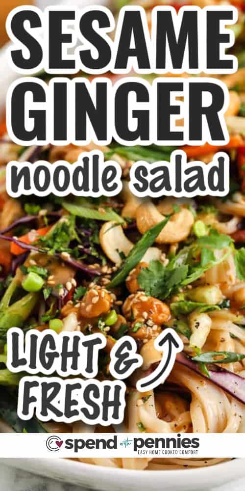 light and fresh Sesame Ginger Chicken Noodle in a dish with writing