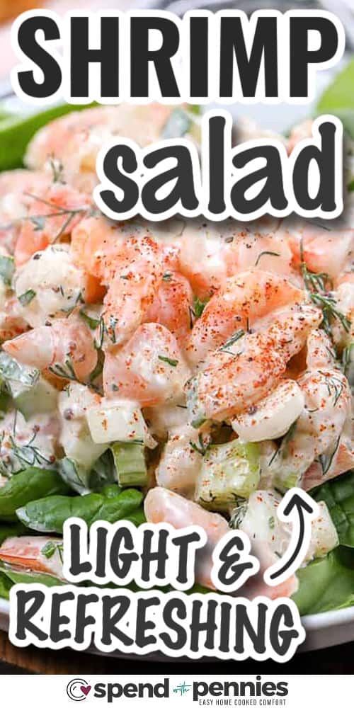 This shrimp salad recipe is fresh, simple, and full of creamy goodness with a touch of zip. It starts with tender shrimp and diced veggies, then gets a lift from lemon, dill, and Old Bay. It’s the kind of chilled salad that’s perfect for piling onto a croissant or scooping up with crackers. Every bite has a little crunch, a little creaminess, and a whole lot of flavor. #spendwithpennies light and refreshing Shrimp Salad with writing