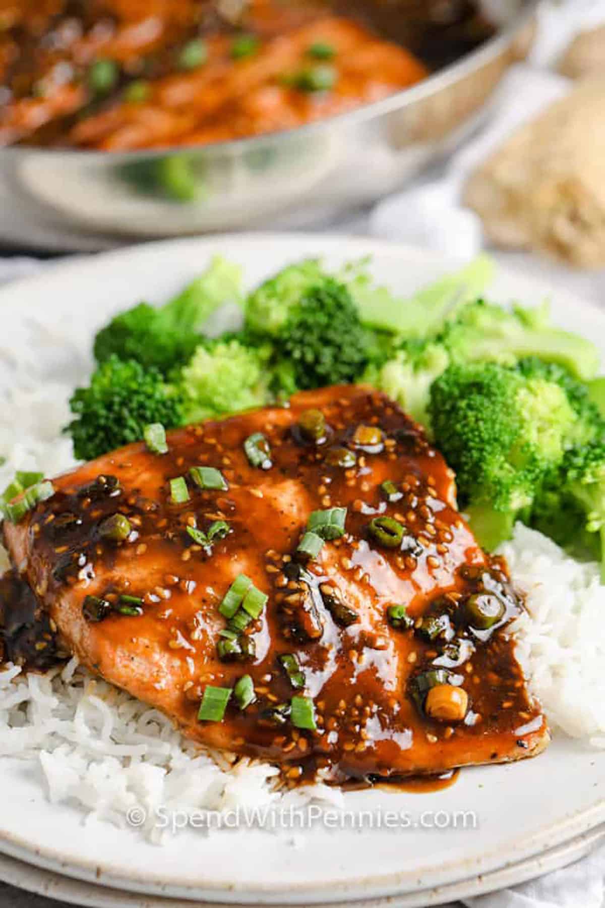 Rice plated with leafy salmon and broccoli