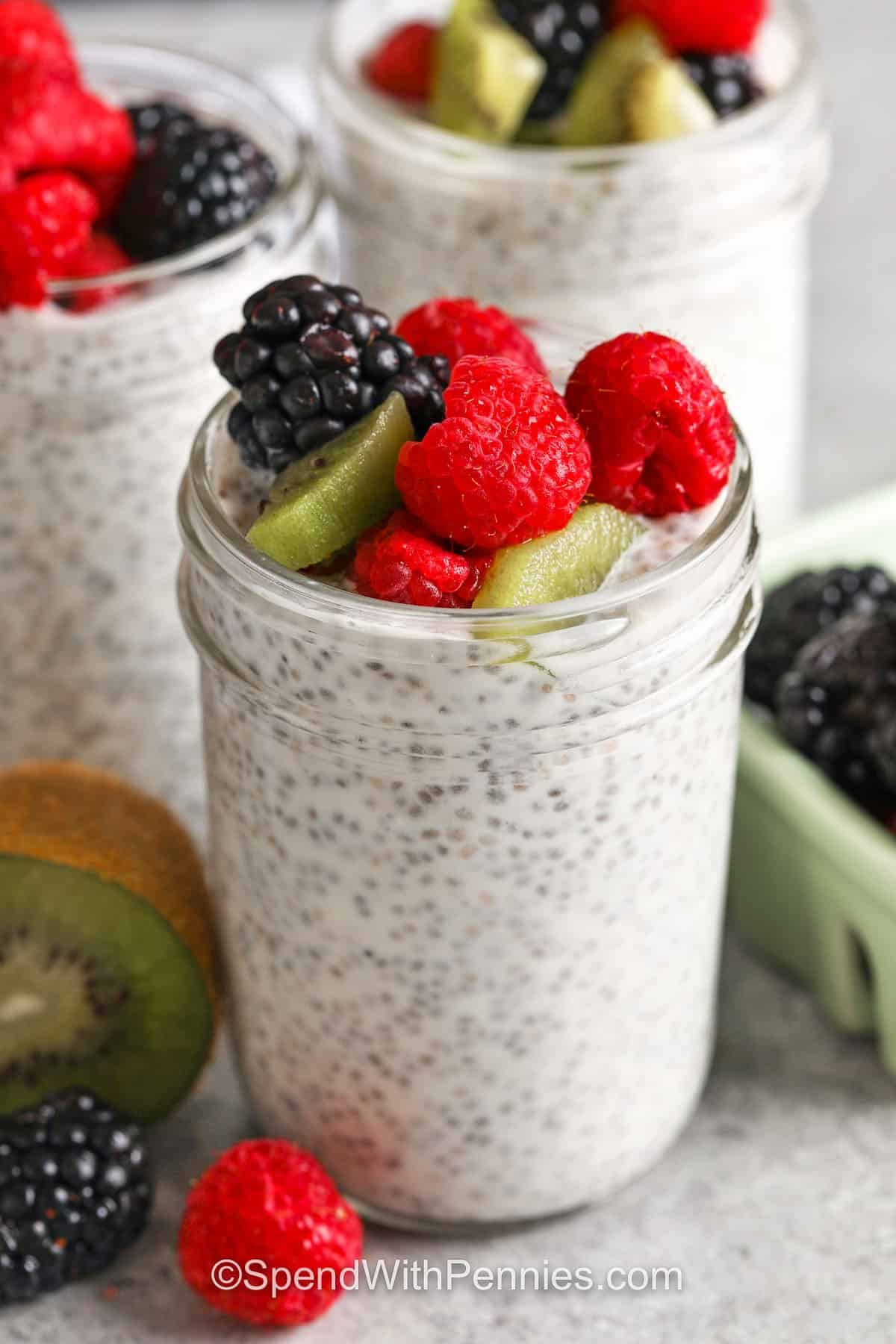 Chia Seed Pudding with fruit on top