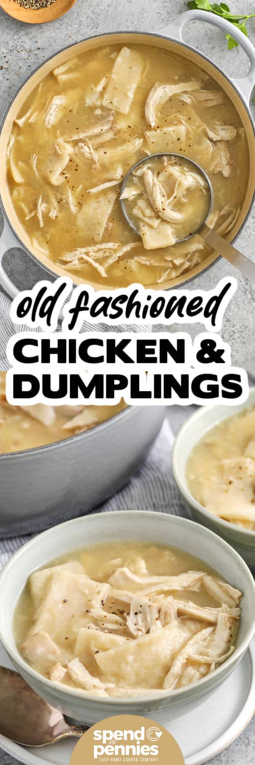 Chicken and dumplings are a homemade recipe that completely involves comfort and flavor. A large pot of tender chicken and soft dumplings can be enjoyed by everyone on the dining table. The cooking was easy and the taste was so rich and satisfying. This dish is simple, but always feels special and every bite is comfortable. Serve it for dinner and enjoy the family favorite you want again and again. #spendwithpennies Vintage chicken and dumplings in pot and plated bottom photo with caption