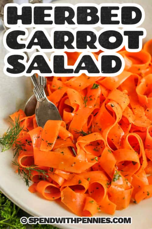 Carrot salad is such a fresh and colorful dish, full of bright flavors and crisp textures. Thin ribbons of carrots are tossed with a tangy lemon and honey dressing, then finished with a sprinkle of dill and parsley for a zesty bite. It’s a simple side that tastes light and refreshing, full of sweet crisp flavor. Keep it cold for a cool, crunchy dish that’s easy to love and perfect for pairing with almost anything. #spendwithpennies close up of Herbed Carrot Salad with a title