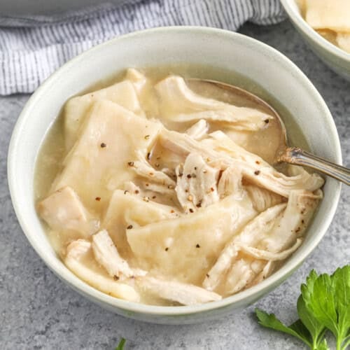 close up of plated Old Fashioned Chicken and Dumplings