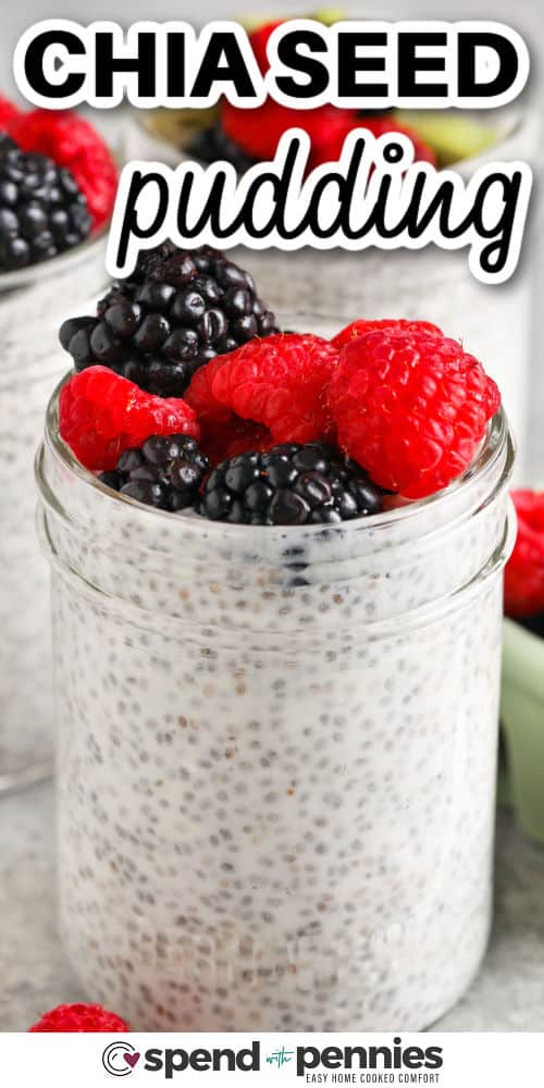 close up of Chia Seed Pudding with fruit and a title