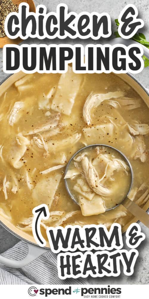Chicken and dumplings are a timeless dish. Every taste is warm and comfortable. The dumplings are cooked in the pot, so they absorb all the delicious flavors, making this recipe special. This is a simple and comfortable meal that is perfect for sharing with your family any evening of the week. #spendwithpennies Warm and hearty old-fashioned chicken and dumplings written in pot