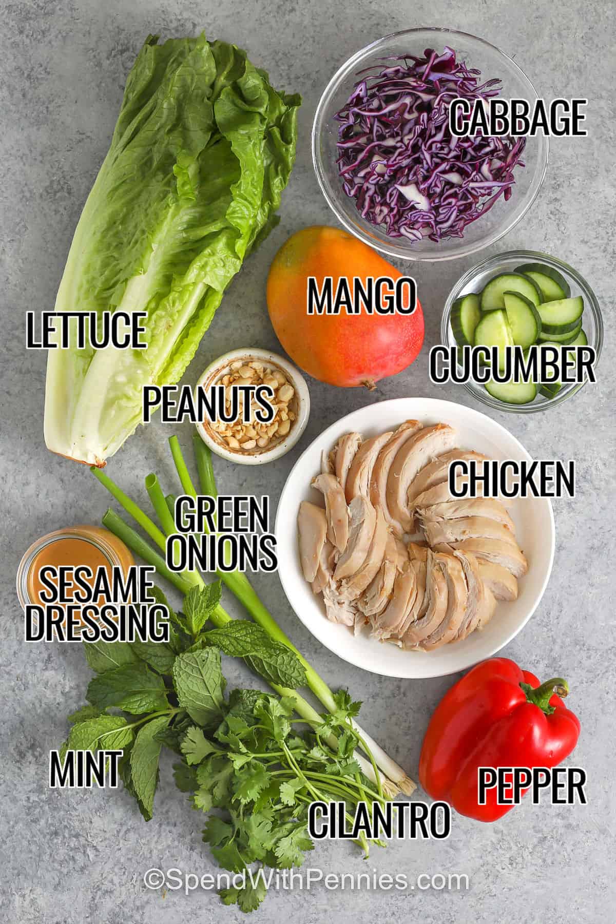 lettuce , mango , cabbage , peanuts , cucumber , chicken , green onions , sesame dressing , mint , cilantro , pepper with labels to make Mango Chicken Salad