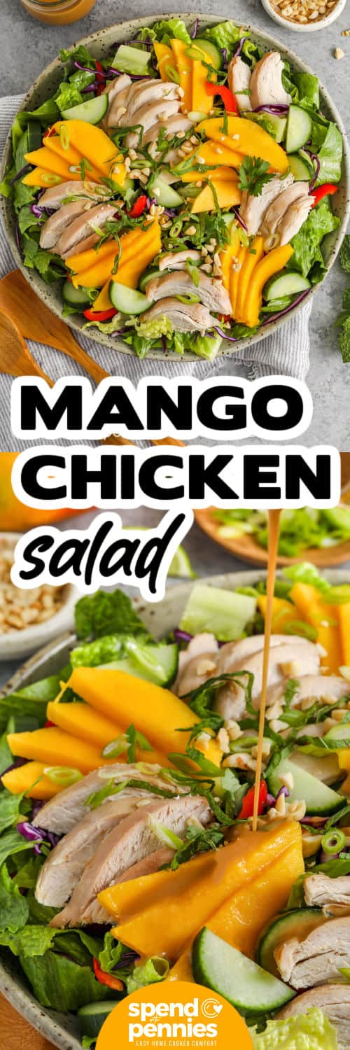 Mango Chicken Salad in a bowl and close up photo with a title