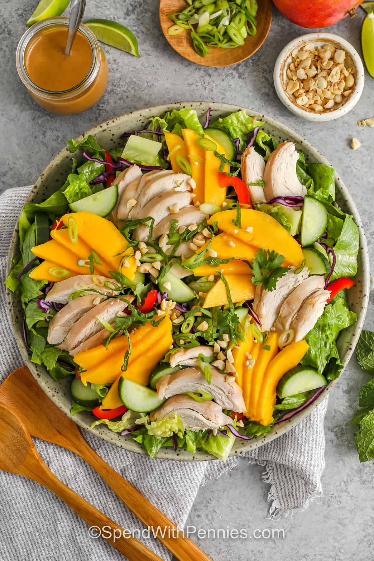 Mango Chicken Salad in a bowl with peanuts , green onions and sesame dressing