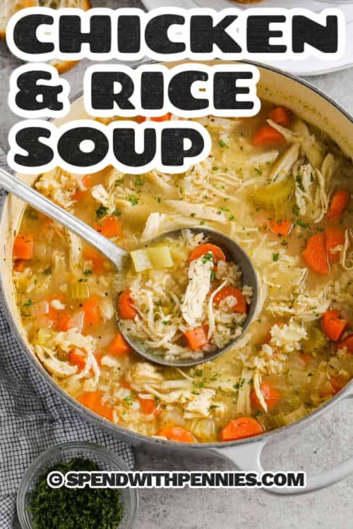 Chicken and Rice Soup in the pot with a laddle