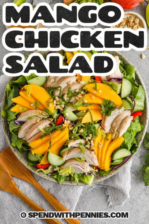 Mango Chicken Salad with a title