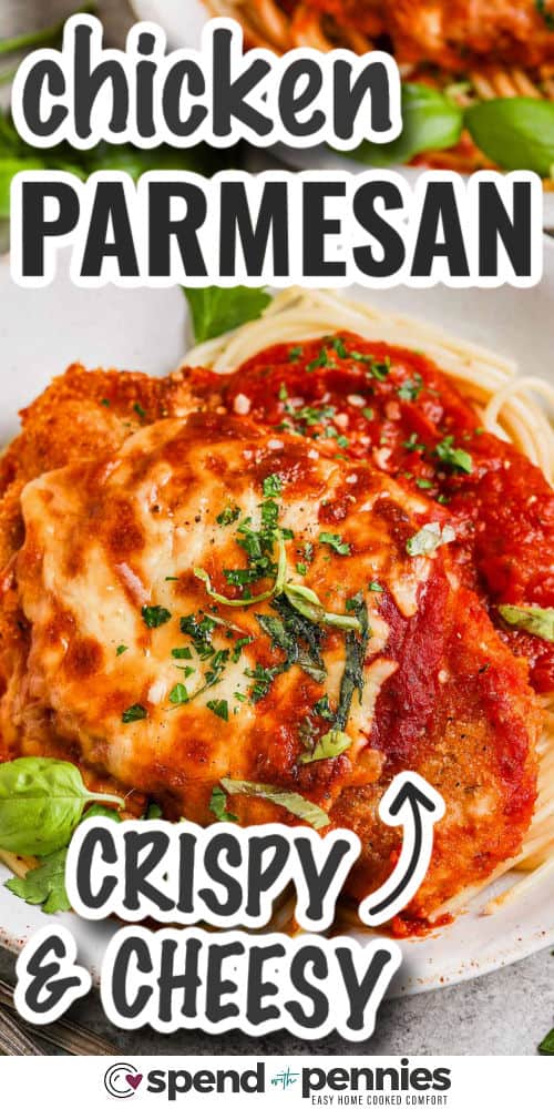 crispy and cheesy Salsa Chicken Recipe with writing