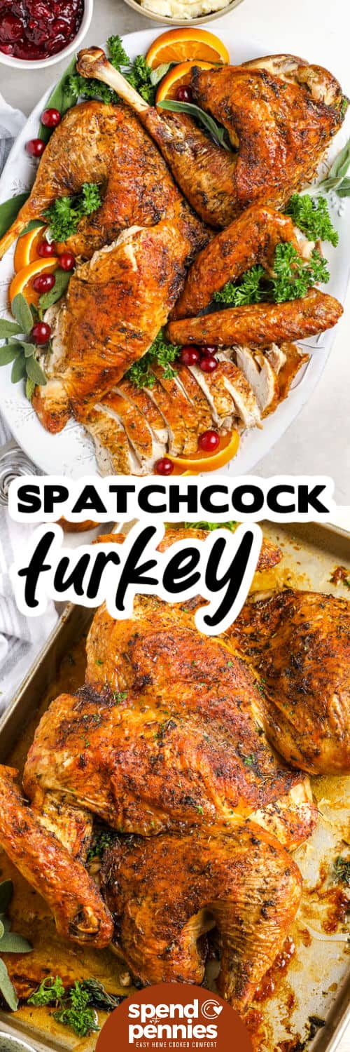Spatchcock turkey makes roasting easy and foolproof. By flattening the turkey, the heat reaches every part for juicy meat and crispy skin. A drizzle of olive oil and a handful of herbs make it flavorful and fragrant. It’s a great way to roast a 10 to 12 lb turkey for the holidays or any special meal. Try brining it first if you want even more flavor and tenderness. #spendwithpennies Spatchcock Turkey on a sheet pan and plated with a title